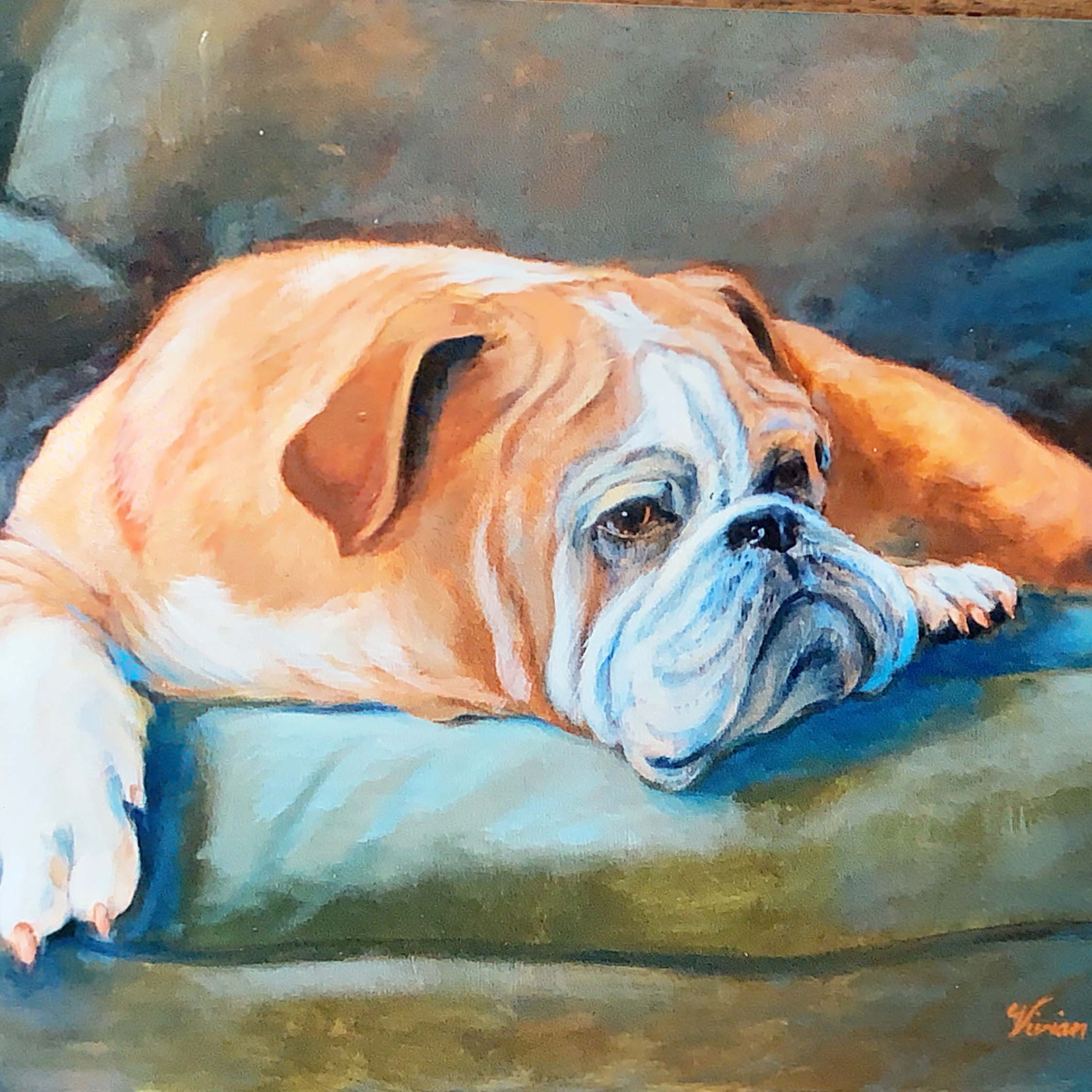 Portrait of a bulldog on a couch.
