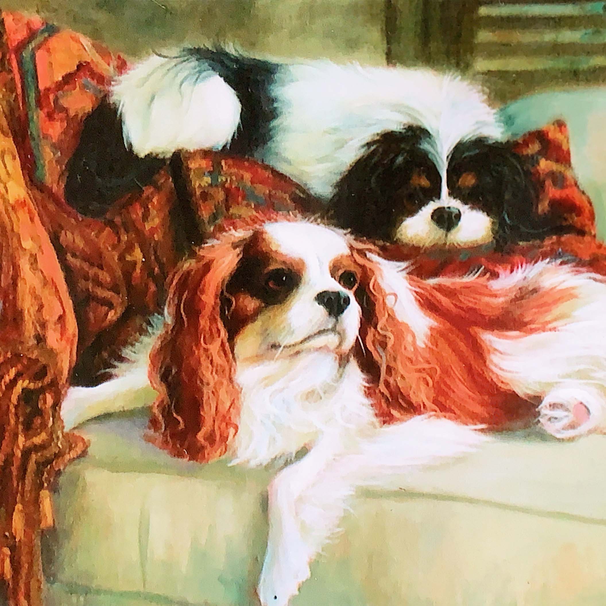 Portrait of a groupf of King Charles Spaniels.
