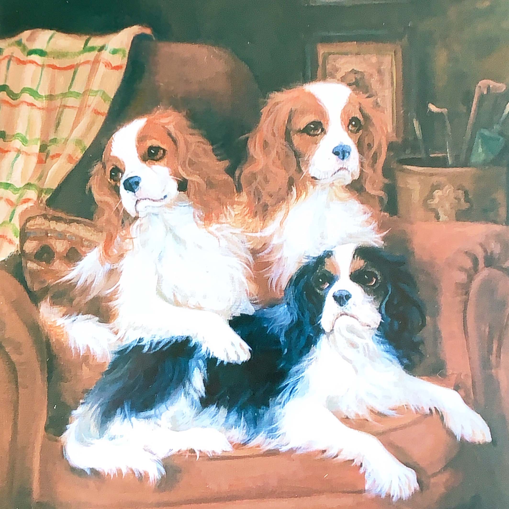 Portrait of a group of King Charles Spaniels.